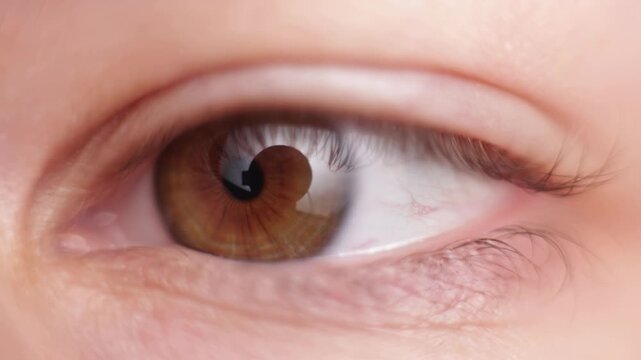 Extreme close-up of a human brown eye with detailed iris and lashes