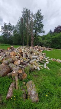 Coupe de bois de chauffage