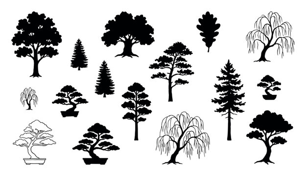 Collection of black tree silhouettes and line art illustrations showing various species like bonsai, pine, oak, and weeping willow in a clean graphic design style for nature concepts