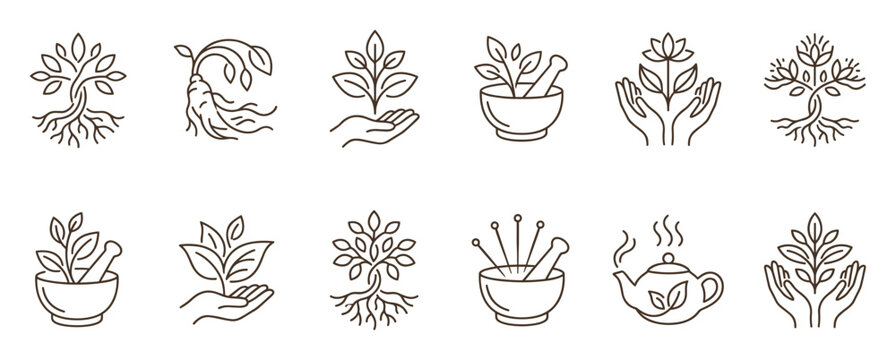 Set of herbal medicine line art icons with a tree of life, ginseng root, mortar and pestle, and teapot, illustrating concepts of naturopathy, alternative therapy, and holistic wellness