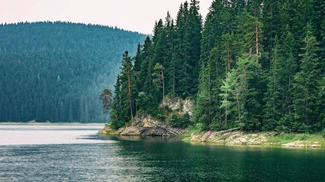Black lake, Durmitor, Montenegro
