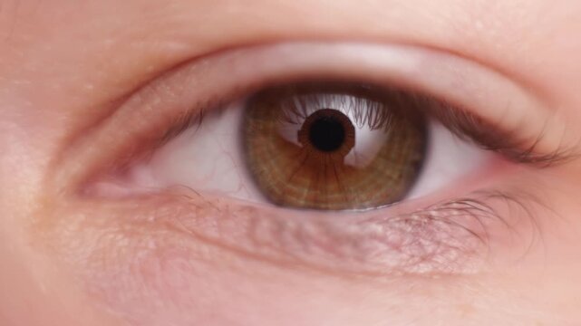 Extreme close-up of a human eye showing iris detail and eyelashes
