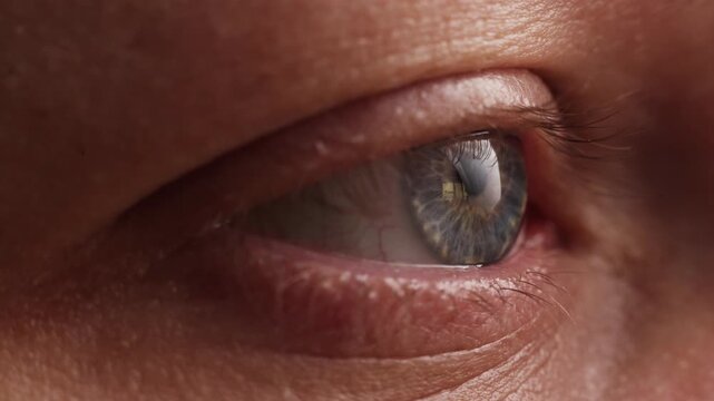 Extreme close-up of a human eye showing intricate details and reflections