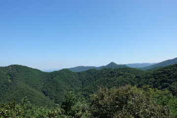 Naklejka premium Mountain landscape and Forest view