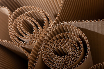 Obraz premium Rolled corrugated cardboard in close up. Brown paperboard texture with layered curves and ridges. Industrial packaging background for recycling and design..