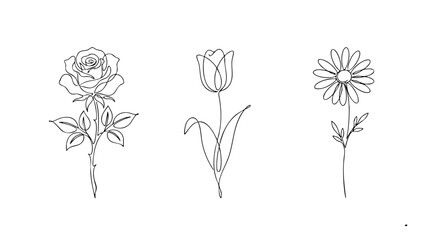 Fototapeta premium Minimal Continuous Line Floral Set with Rose Tulip and Daisy Botanical Vector Illustration