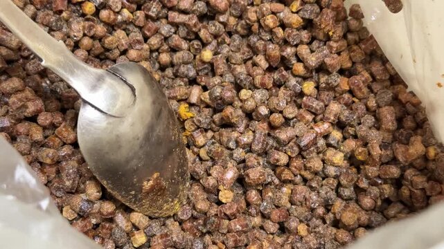White bucket filled bee pollen granules on patterned tablecloth, metal scoop resting inside bucket, market vendor display