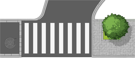 Fototapeta premium Top view of crosswalk on asphalt road with sidewalk and green tree and manhole cover.