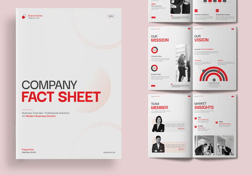 Modern Corporate Company Fact Sheet Template, Business Profile Brochure Layout