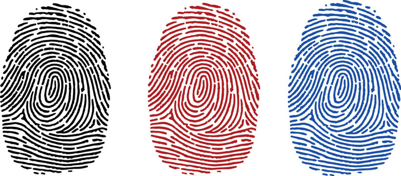 Three fingerprint in black, red, and blue on white background