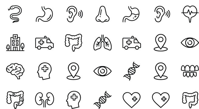 Medical Healthcare and Internal Human Organs Outline Line Icon Set for Hospital Diagnostics Application Interfaces