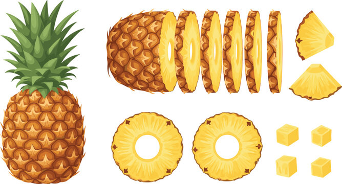 Fresh pineapple fruit vector collection with whole sliced rings chunks and tropical pieces for healthy food design