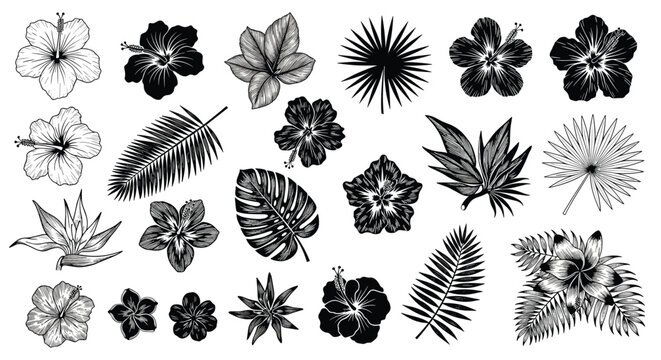 Collection of various tropical flowers and palm leaves rendered in detailed black and white etching or engraving style for art projects.