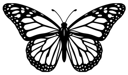 Intricate monarch butterfly silhouette vector graphic for branding web and fashion design © Tanjimul