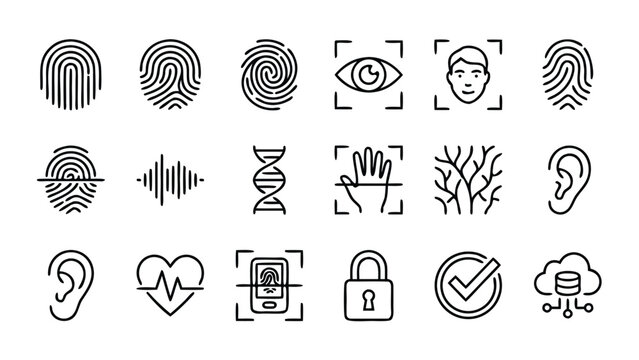Biometric Identification and Security Line Icons Set: Fingerprint, Facial Recognition, Iris Scan, DNA Helix, Voice Wave, Palm Print, Vein Pattern, Ear, Heartbeat, Mobile Scan, and Verification.