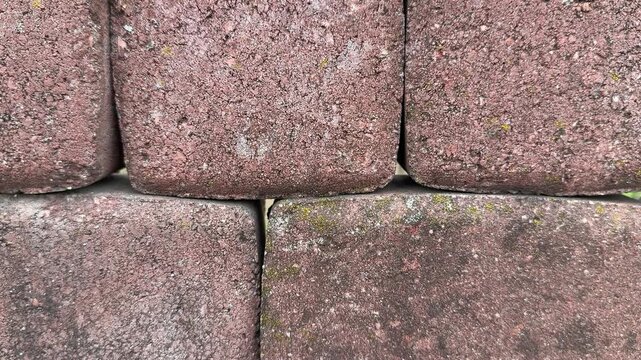 Paving stone samples top view closeup, textured cobble tiles arranged on display stand in hardware store, closeup top down framing