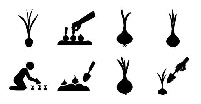 Black and white vegetable gardening icons set - Minimalist black and white icons showing gardening activities like planting, harvesting, and weeding vegetables.