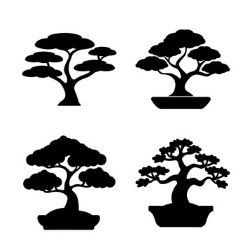 Four stylish bonsai trees in pots illustration - A clean and minimal black and white illustration of four bonsai trees in square pots, arranged neatly for decorative or editorial use.