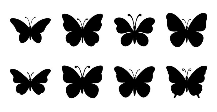 Black butterflies flying in a neat formation - Six elegant black butterflies arranged in two horizontal rows, flying in a simple, symmetrical formation.