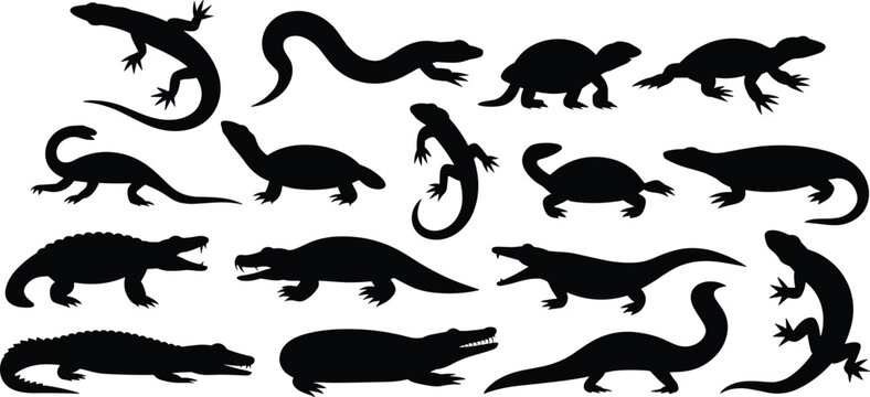 Reptile silhouette collection featuring lizards crocodiles turtles and amphibians isolated black vector wildlife illustration set