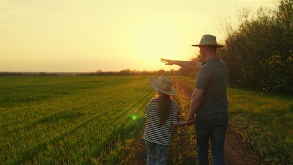Father, little daughter walk hand in hand in field. Dad, child go field sunset. Little girl, father walk of sprouting wheat. Family farming. Agricultural industry. Raising children. Family business © Victoriia