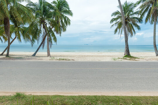 Side view of asphalt road with beach on sea and coconut tree.