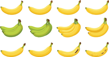 Ripe and green bananas vector collection with single fruits and bunches for tropical food packaging design © Prodip