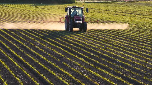 Aerial view of crop sprayer working on a corn field at sunset. Spring day beautiful landscape, rural scene. Drone shot of spraying corn to the increase crop yield.