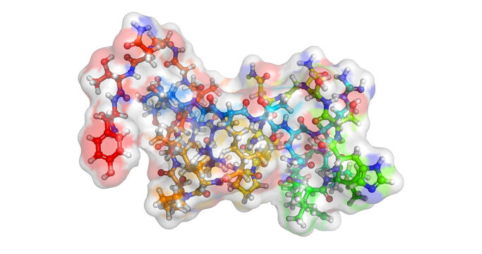 Pramlintide, drug/amylin analogue for type 2 diabetes and obesity, 3D molecule 4K