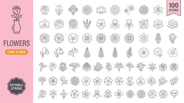 A collection of editable flower line icons in a variety of styles and designs for use in digital and print materials. , jpg, vector icons file, png,