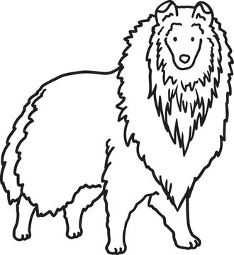 Collie line art simple illustration long fur shepherd dog doodle breed contour drawing minimalist black outline dog show poster clipart grooming salon veterinary clinic mascot logo pet branding design