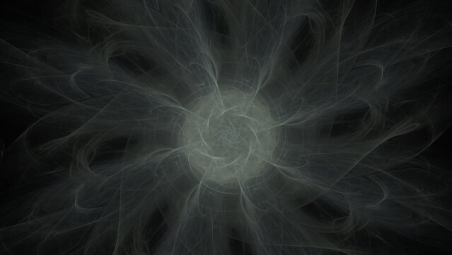 Symmetrical abstract fractal in shades of gray and white forms intricate swirling starburst pattern with delicate flowing lines on black background.