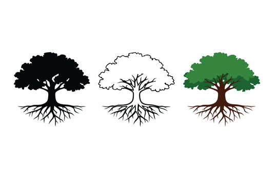 Oak tree with visible roots vector icon set featuring three distinct styles: solid black silhouette, thin line art outline, and a full color version for nature, growth, and environment design.