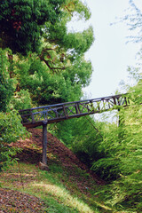 Fototapeta premium Bridge, footbridge, forest, trees, greenery, slope: rustic metal footbridge spans a leafy ravine in dense woodland, mossy ground, scattered leaves and a quiet natural trail through foliage.