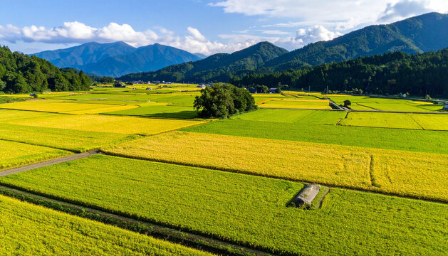 里山風景.田んぼ」の写真素材 | 16,841件の無料イラスト画像 | Adobe Stock