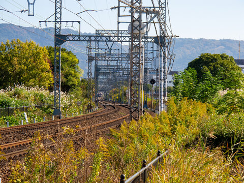 新緑の山沿いを走るローカル線の複線線路と青空が広がる日本の地方都市の風景