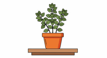 Fototapeta premium A green plant with multiple stems and leaves in an orange pot on a shelf