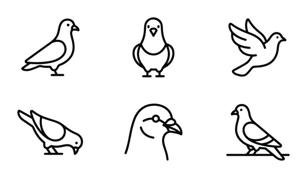 Minimalist Pigeon Icons, Simple Bird Vector Graphics, Clean Line Art Avian Symbols