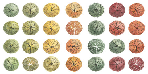 Set of colorful top view tree icons for architectural site plans and landscape design © ZenVectors