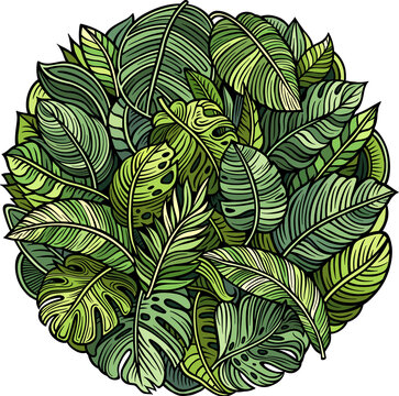 Tropical exotic leaves illustration