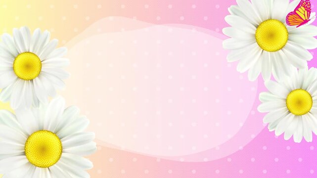 A colorful background with daisies, a butterfly, and a blank space. Daisy flowers with a floral spring frame.