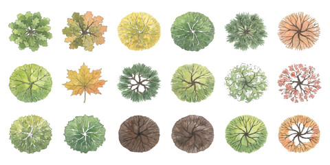 Set of different trees for landscape architecture design top view icons © ZenVectors