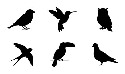 Fototapeta premium Diverse Bird Silhouettes Collection, Vector Icons Set, Wildlife Fauna Graphics, Nature Elements