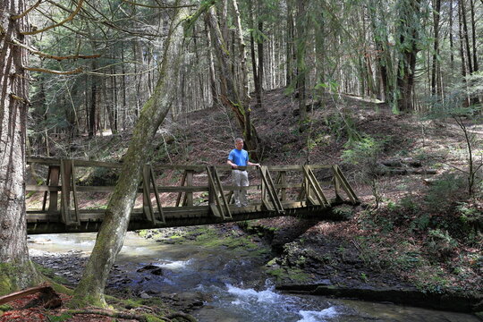 Hiker pauses to admire the scenery while crossing a wooden bridge over a flowing creek