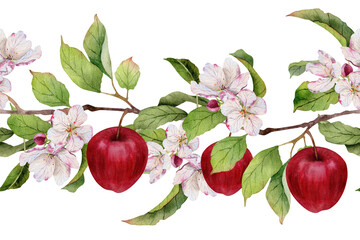 Hand painted watercolor seamless border with red apples, apple blossom flowers and leaves on branch © Cristina