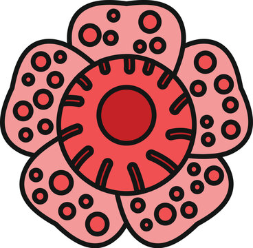Rafflesia arnoldii growing icon representing a rare tropical parasitic flower