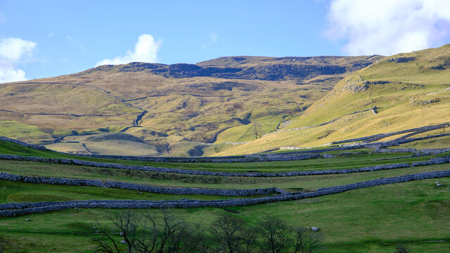 Stone walls in a Yorkshire valley