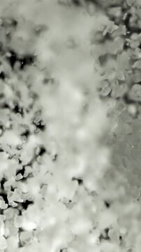 Salt crystals fly up. Filmed on a high-speed camera at 1000 fps. High quality FullHD footage