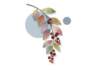 Watercolor botanical illustration of a branch with colorful autumn leaves and berries © Mamun