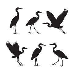 Fototapeta premium Great heron bird silhouettes set of various poses walking standing and flying wildlife.
